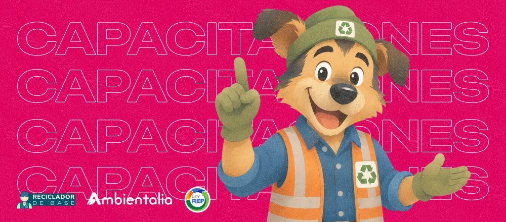 Programa de Capacitación Recicladores